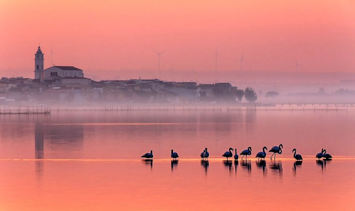 050. Lesina - Riserva Naturale